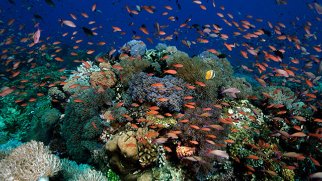 Many many thanks for your generosity and your pampering! It is really appreciated! I will surely recommend you to my friends who will eventually want to visit your magnificent country!
-----
We are in the club lounge right now. We are waiting for our room (we have an upgrade ๐). We enjoy our pampering! All because of you! No good way to thank you enough! We will take away wonderful souvenirs of our stay her in the Philippines! Best regards!